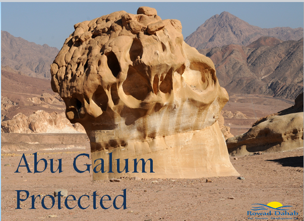Abu Galum Protected 
